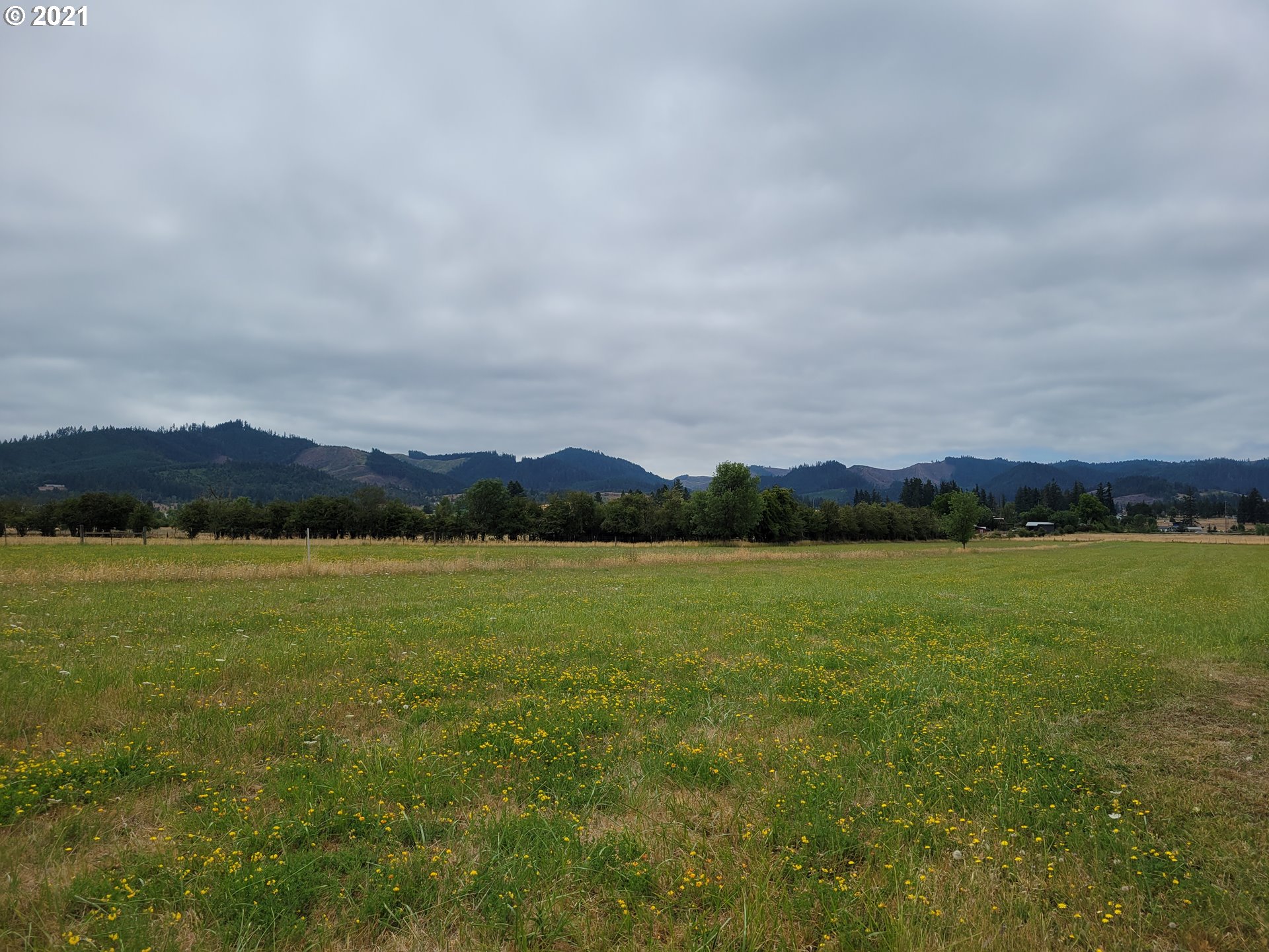 2265 North Side Road Sutherlin, OR 97479 - Photo 24 of 27
