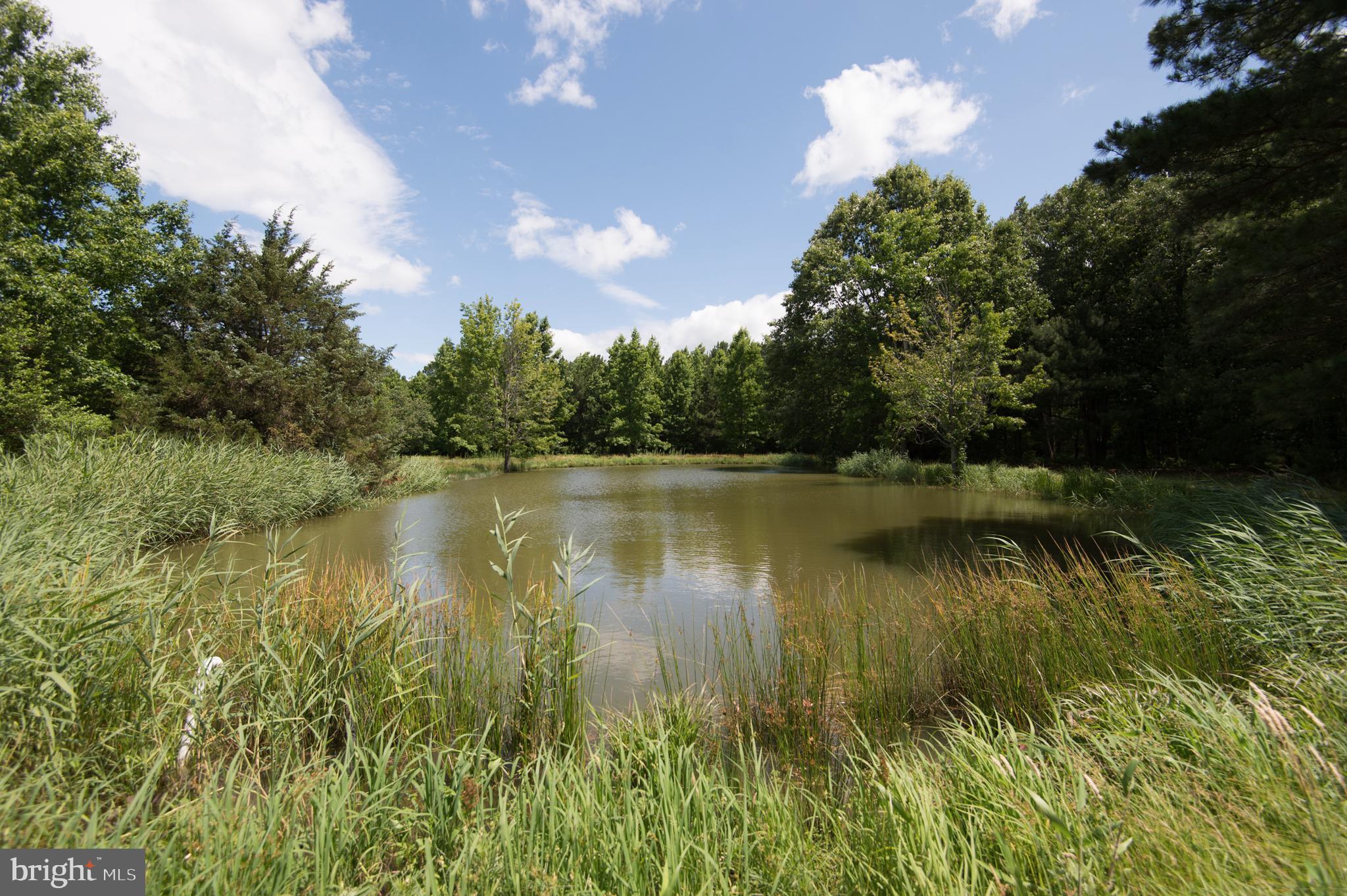 5626 Ross Neck Road Cambridge, MD 21613 - Photo 60 of 65 Gallery Image 60