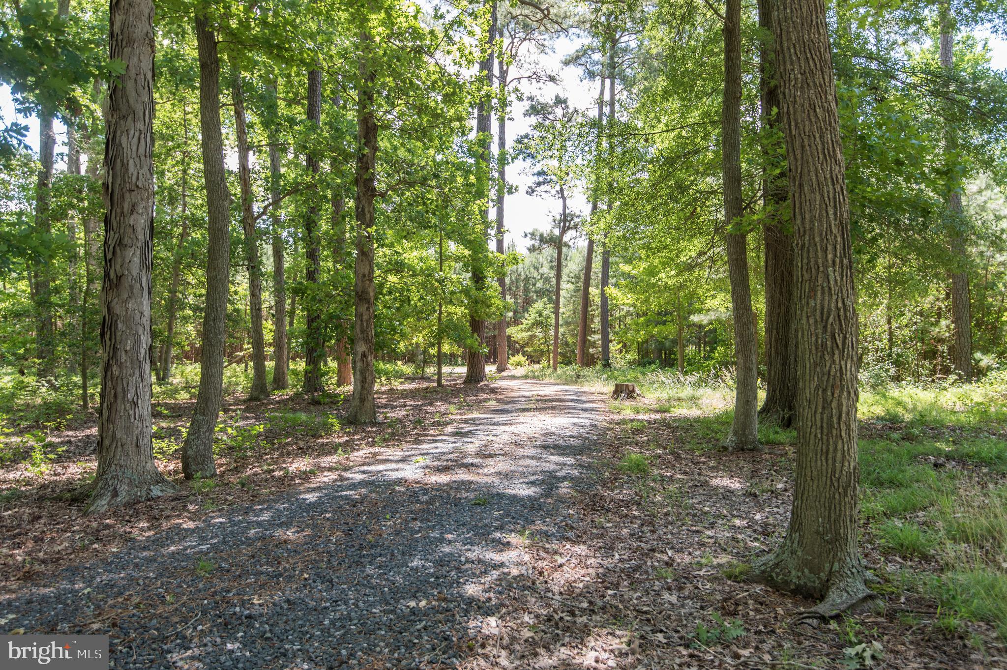 5626 Ross Neck Road Cambridge, MD 21613 - Photo 63 of 65 Gallery Image 63