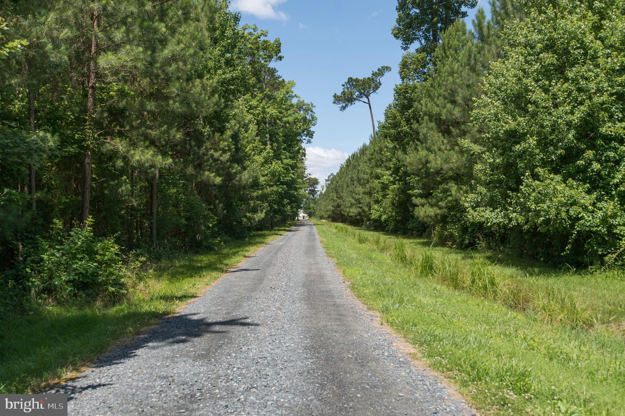 5626 Ross Neck Road Cambridge, MD 21613 - Photo 65 of 65 Gallery Image 65