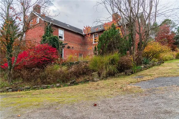 a view of a backyard with plants and large trees