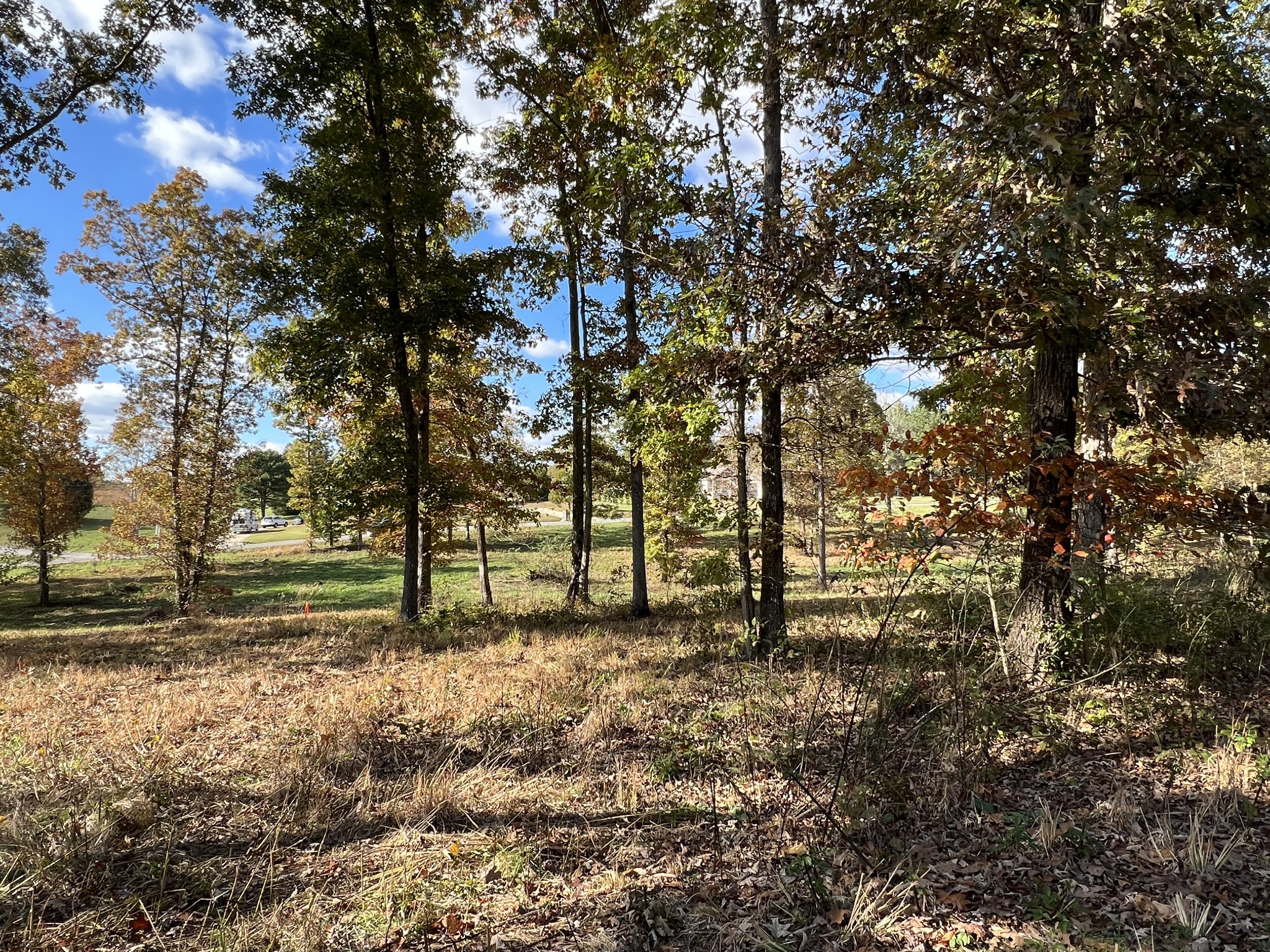 0 Double Eagle Drive Summertown, TN 38483 - Photo 11 of 18 a view of backyard with tree