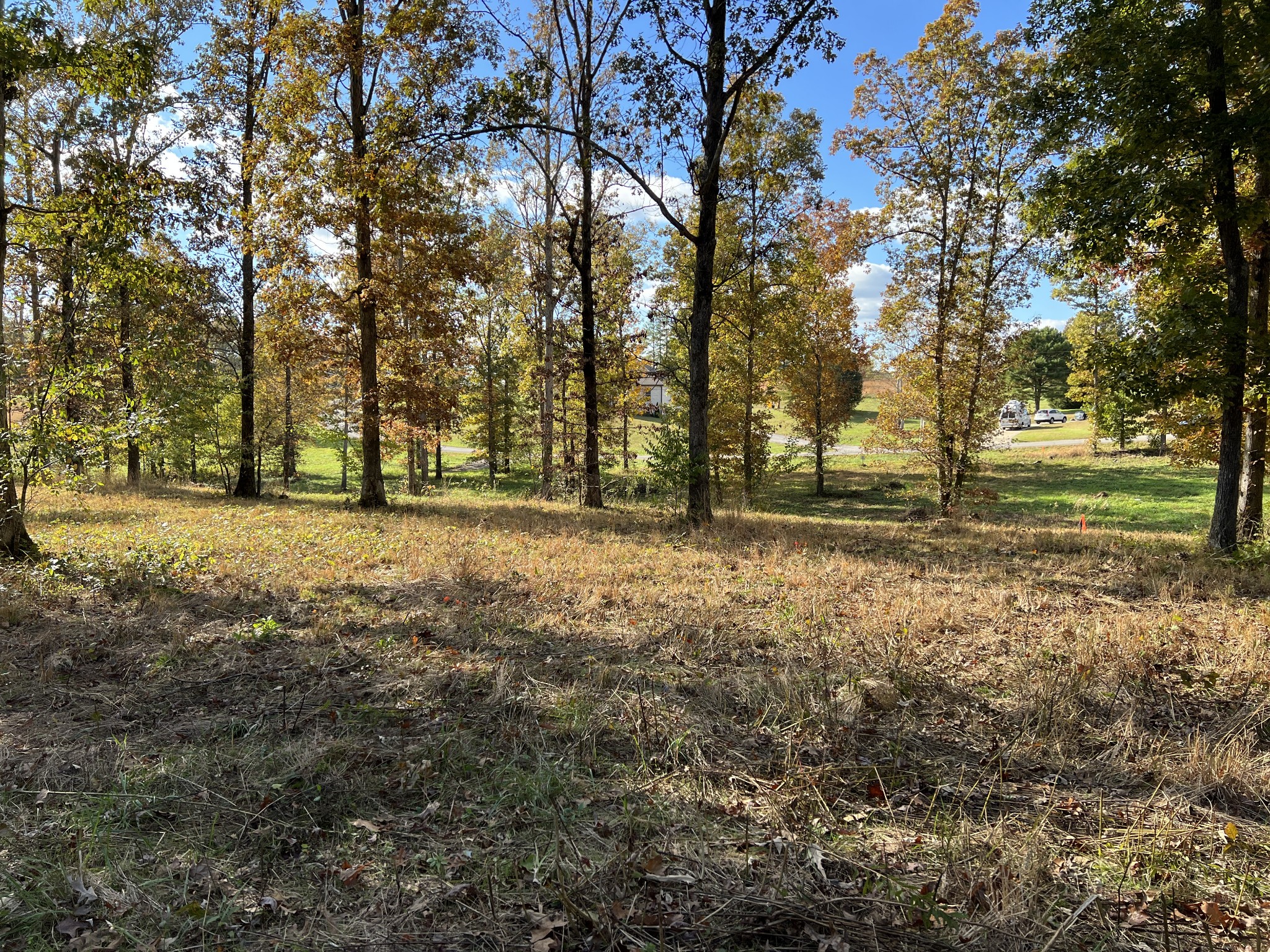 0 Double Eagle Drive Summertown, TN 38483 - Photo 12 of 18 a view of outdoor space with trees