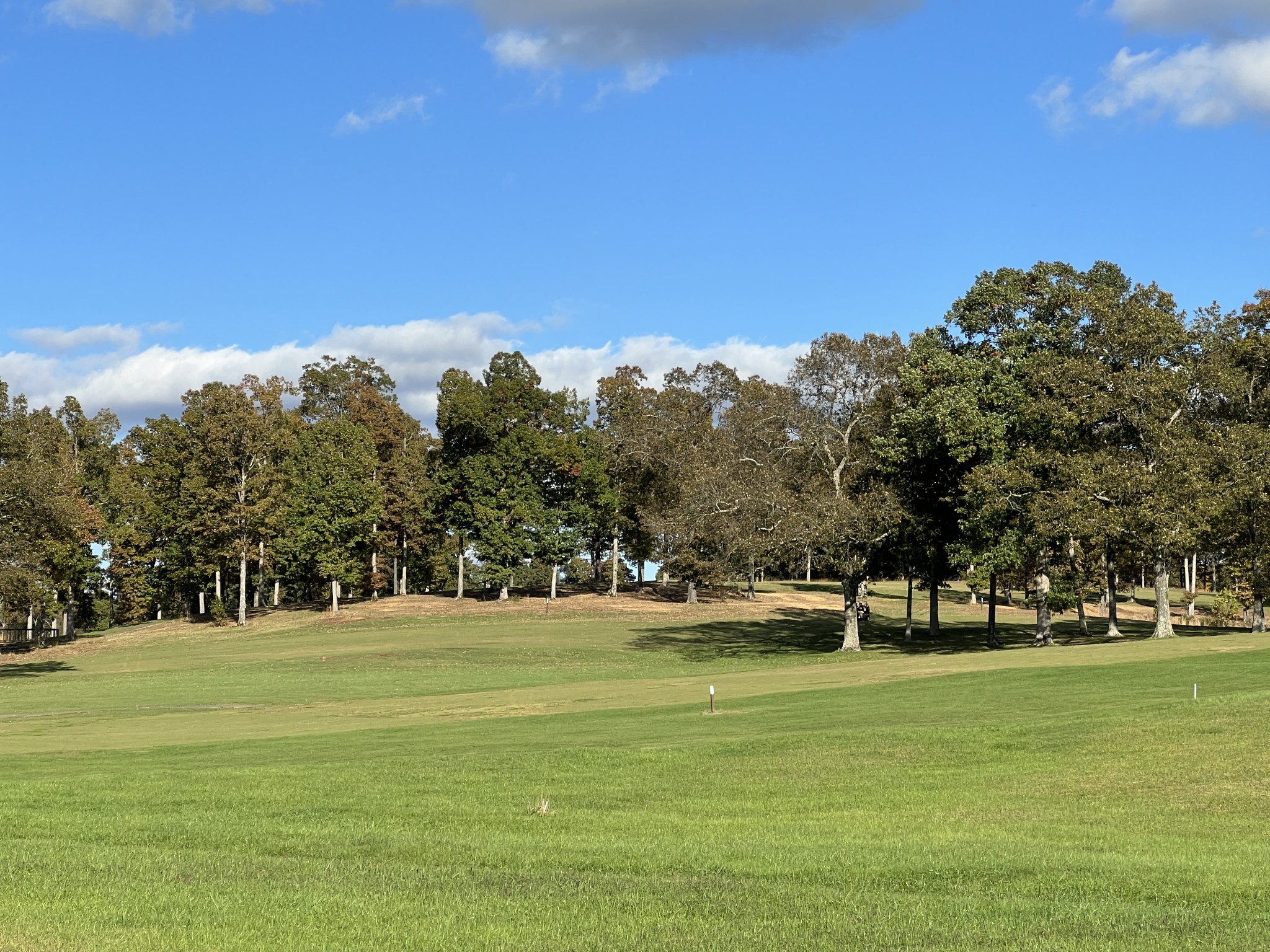 0 Double Eagle Drive Summertown, TN 38483 - Photo 14 of 18 a view of a park