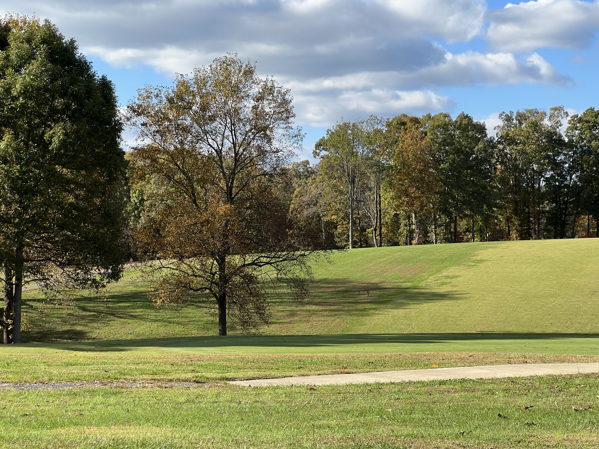 0 Double Eagle Drive Summertown, TN 38483 - Photo 17 of 18 a view of swimming pool with a yard