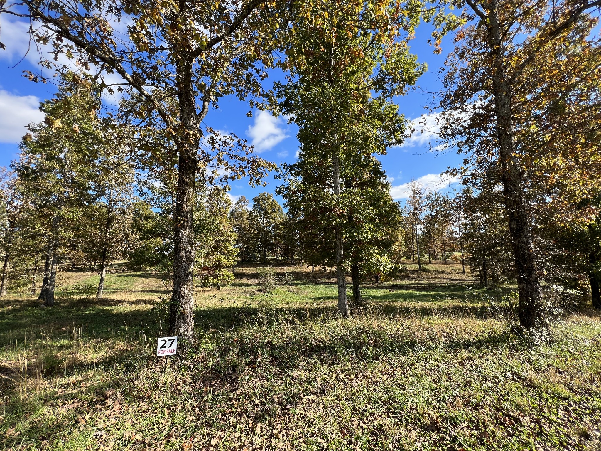 0 Double Eagle Drive Summertown, TN 38483 - Photo 3 of 18 a view of outdoor space with trees all around