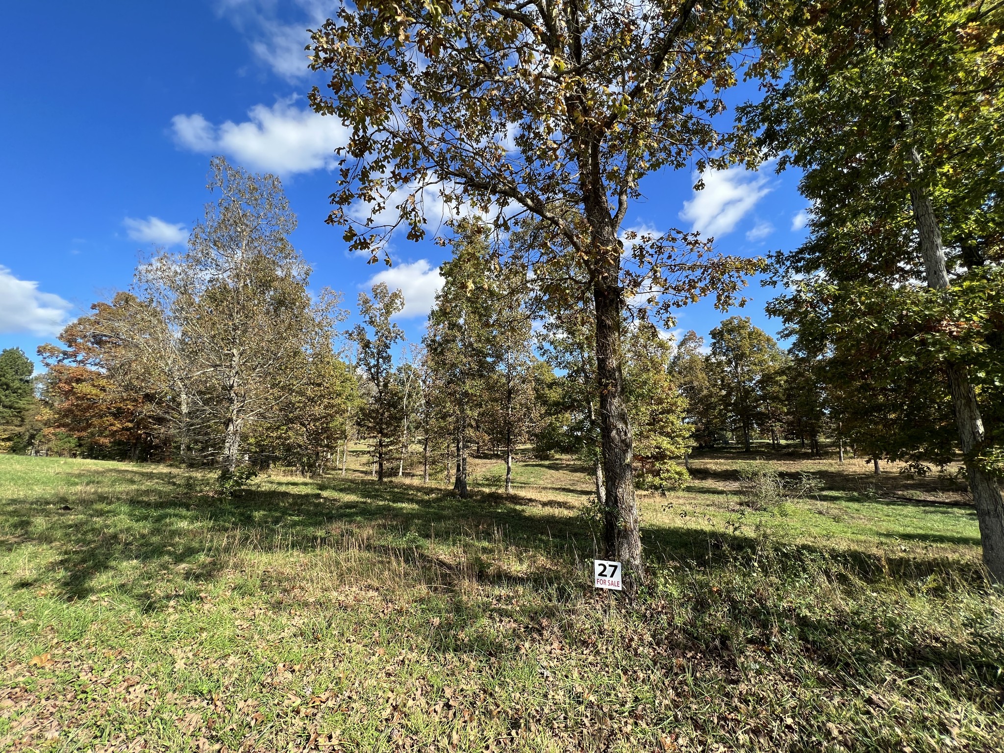 0 Double Eagle Drive Summertown, TN 38483 - Photo 4 of 18 a view of lake view