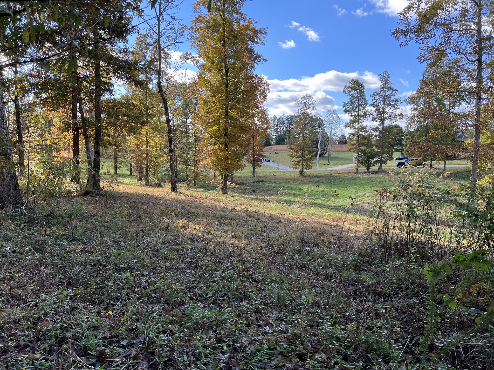 0 Double Eagle Drive Summertown, TN 38483 - Photo 5 of 18 a view of outdoor space with trees all around