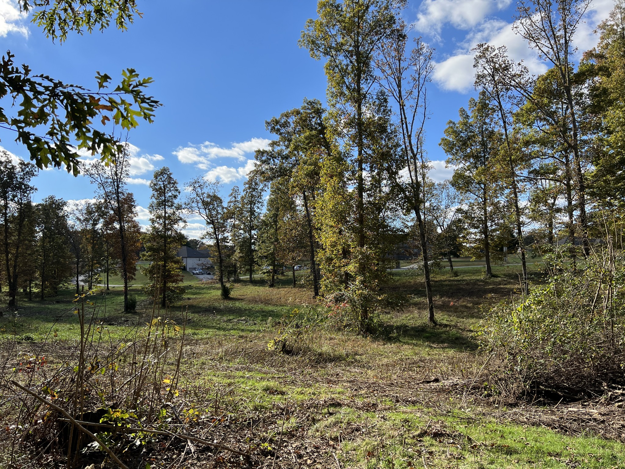0 Double Eagle Drive Summertown, TN 38483 - Photo 6 of 18 a backyard of a house with lots of green space