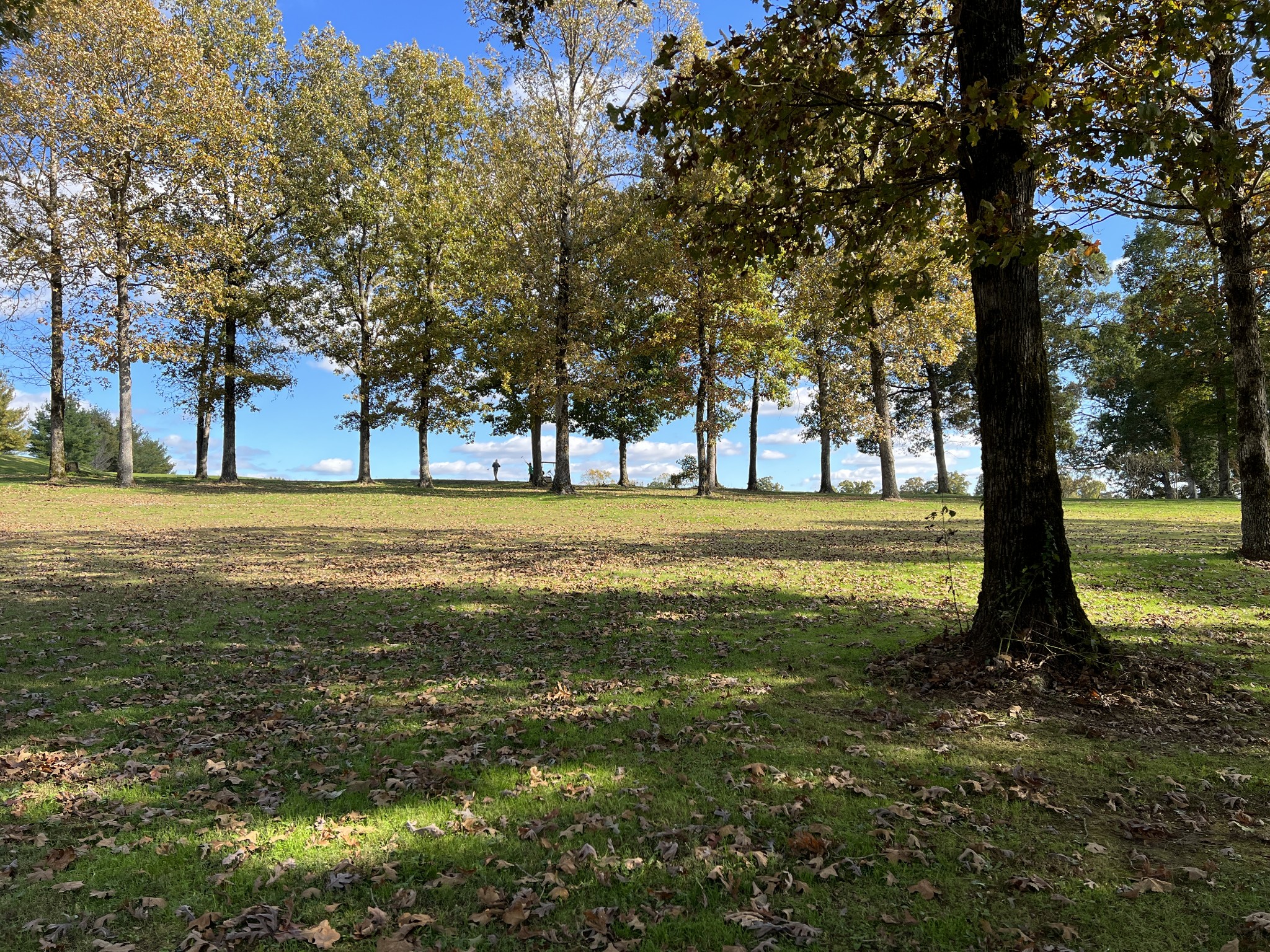0 Double Eagle Drive Summertown, TN 38483 - Photo 7 of 18 a view of a field with an trees