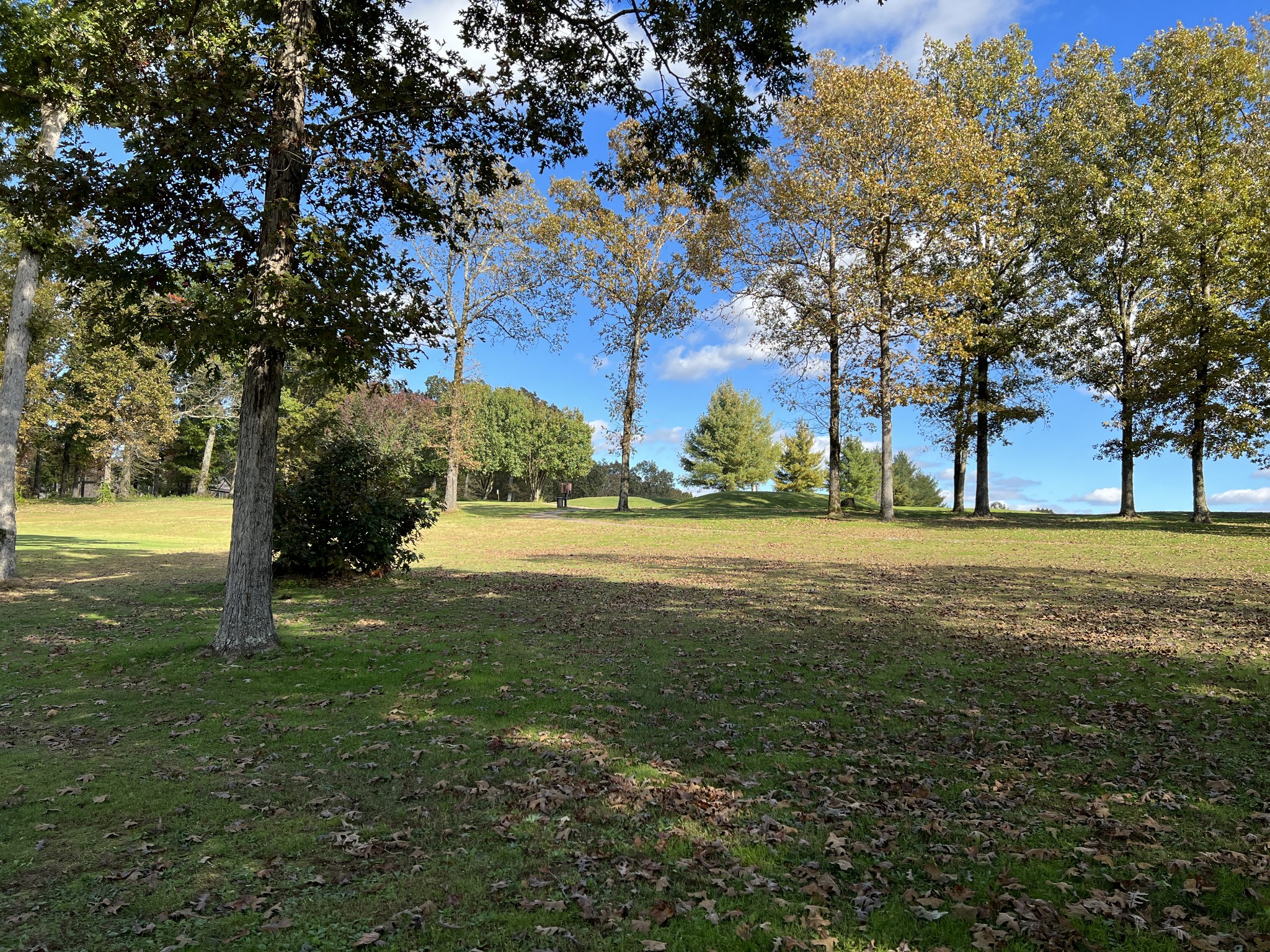 0 Double Eagle Drive Summertown, TN 38483 - Photo 8 of 18 a view of road with large trees