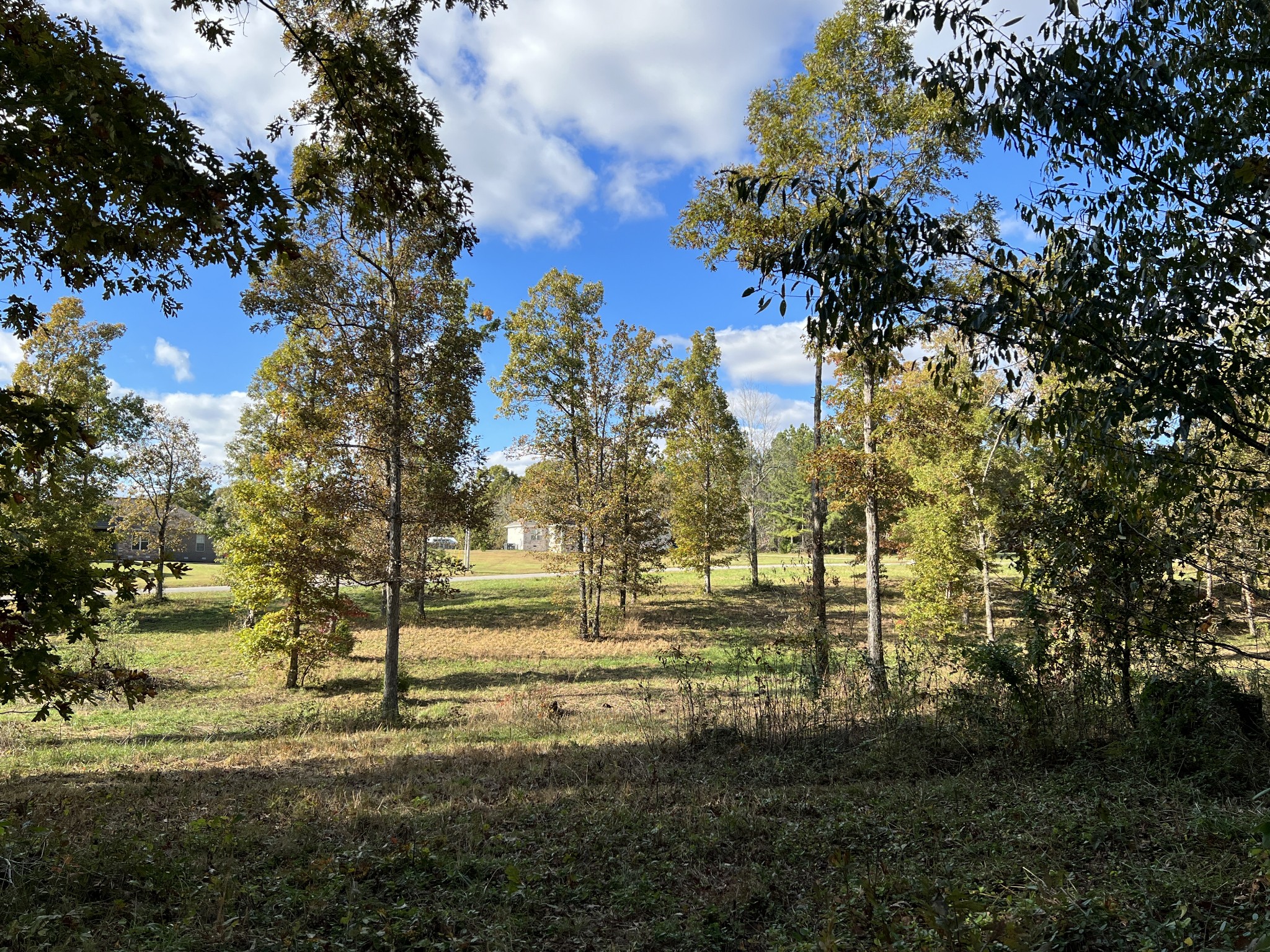 0 Double Eagle Drive Summertown, TN 38483 - Photo 10 of 18 a view of yard