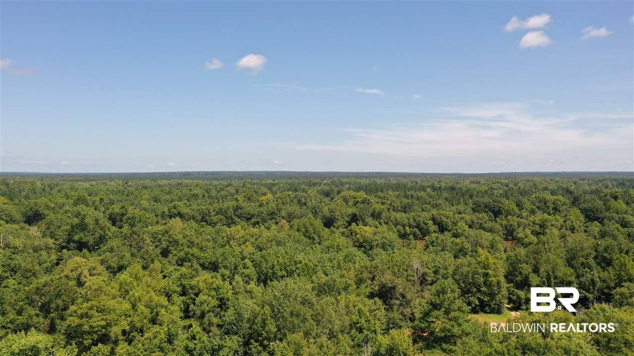 0 Highway 4 Jay, FL 32565 - Photo 44 of 50