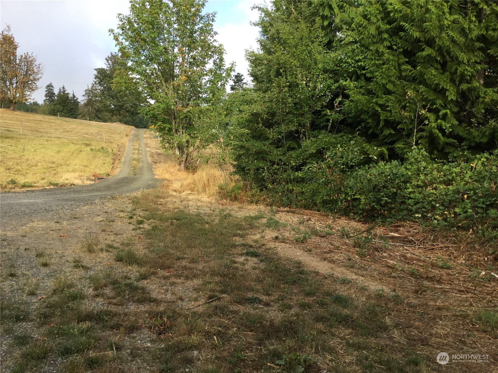 10338 210th Lane Southwest Rochester, WA 98579 - Photo 13 of 14 Gallery Image 13