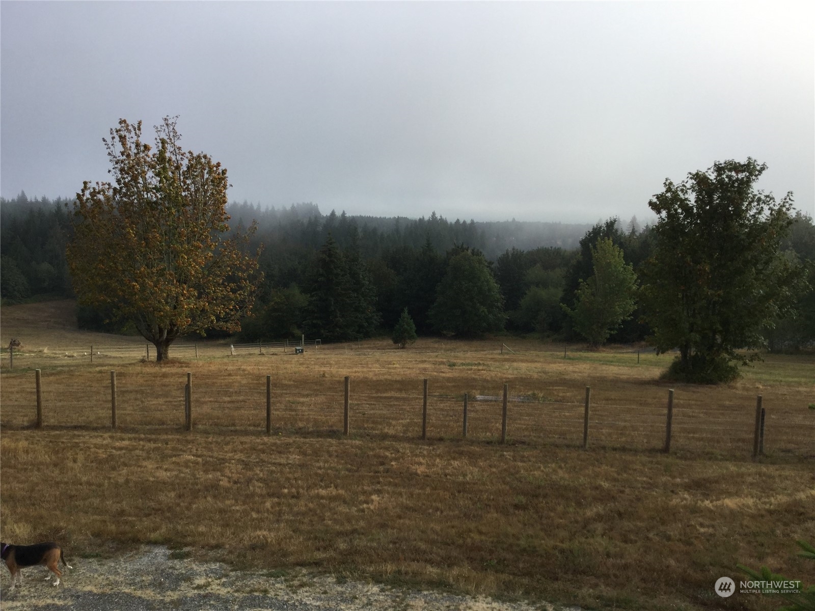 10338 210th Lane Southwest Rochester, WA 98579 - Photo 2 of 14 Gallery Image 2