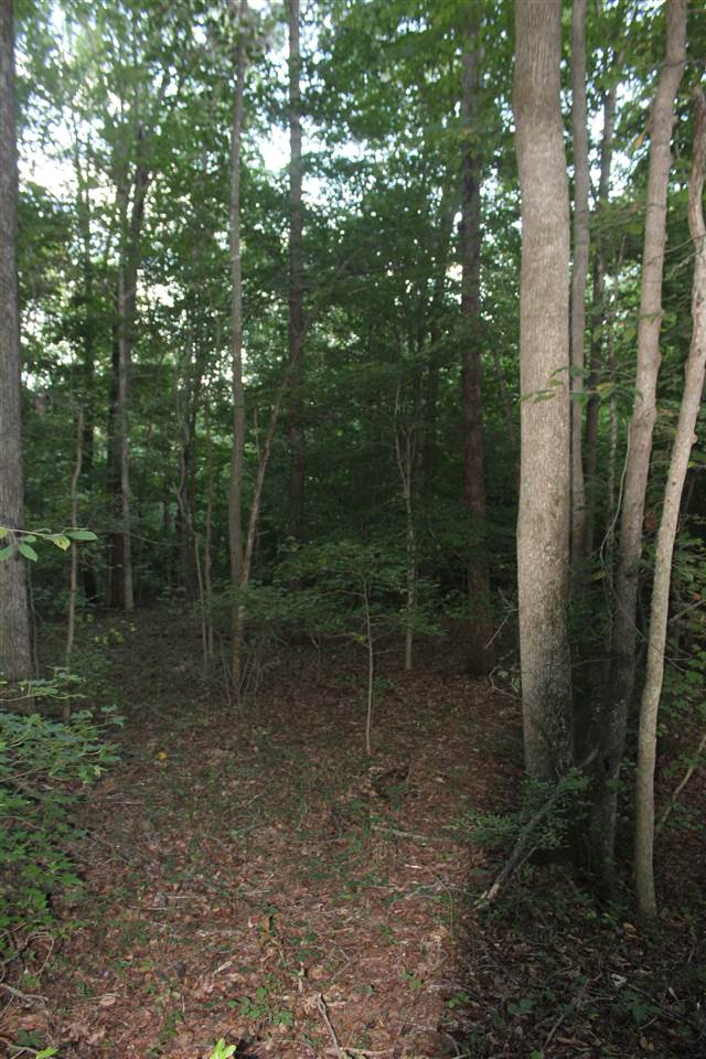623 Dunbar Coal Road Morgantown, KY 42261 - Photo 25 of 35 Gallery Image 25
