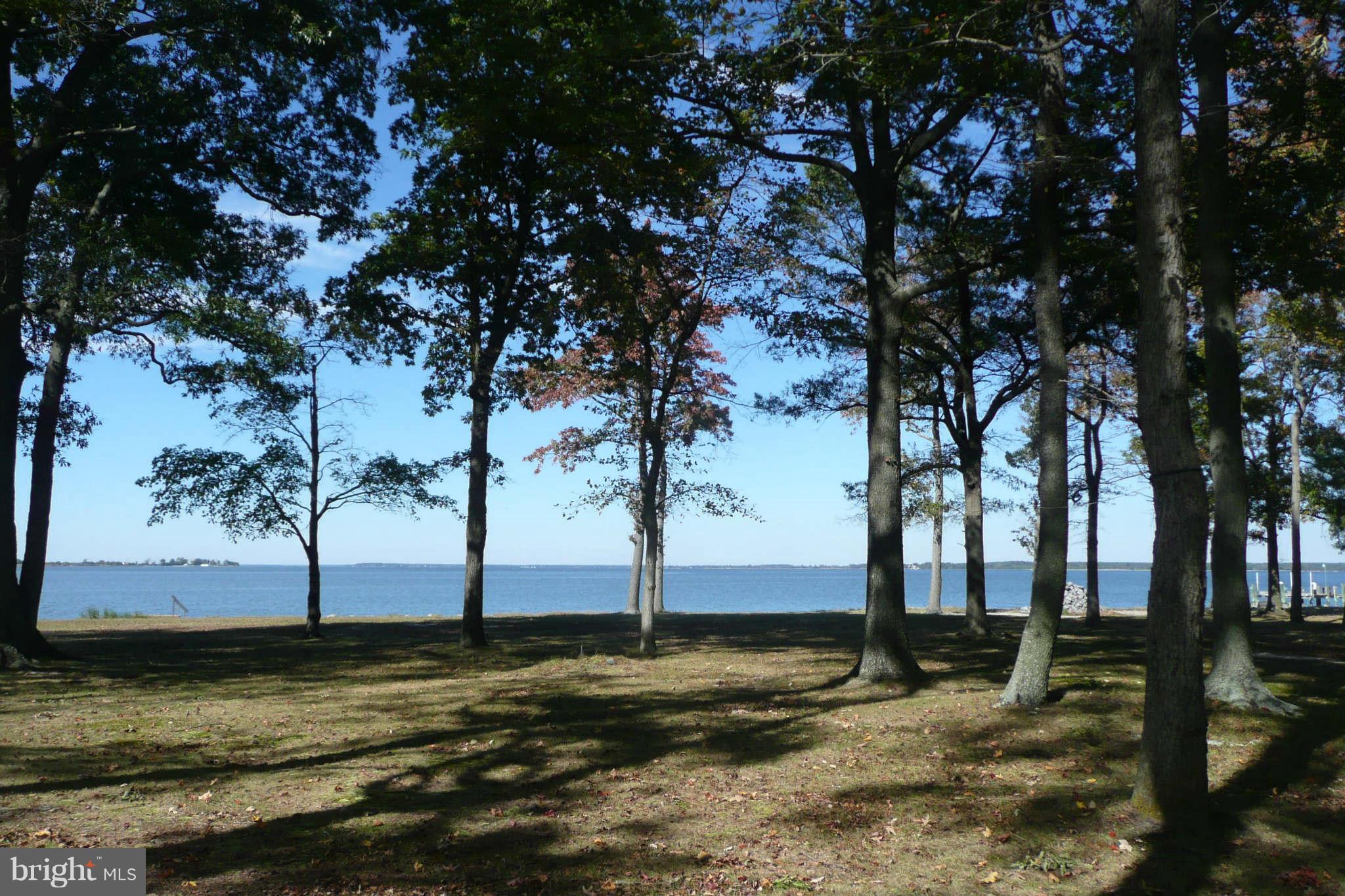 5936 Horns Point Road Cambridge, MD 21613 - Photo 22 of 30 Back yard and waterviews