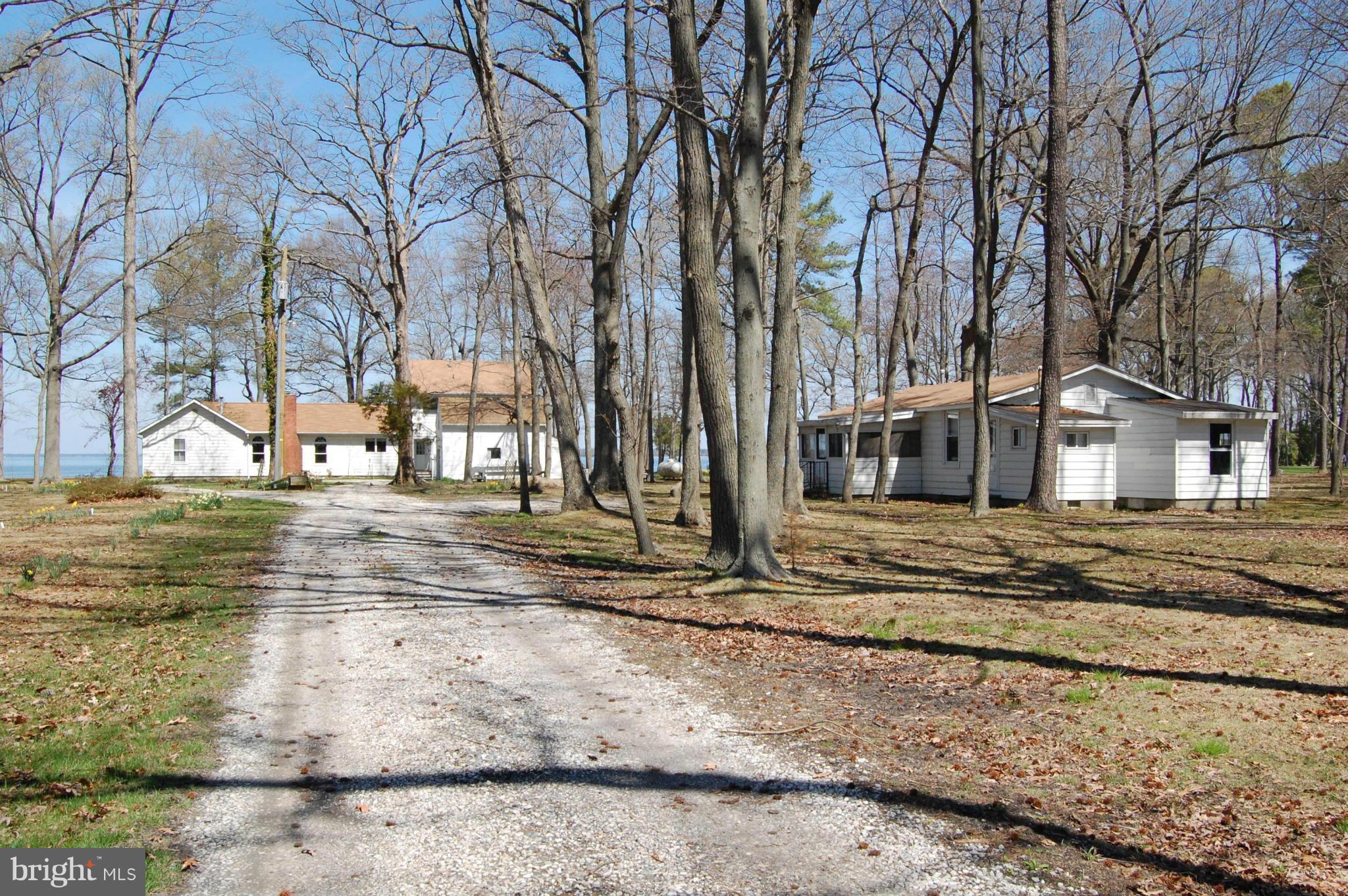 5936 Horns Point Road Cambridge, MD 21613 - Photo 29 of 30 Drive in to House and Guest House