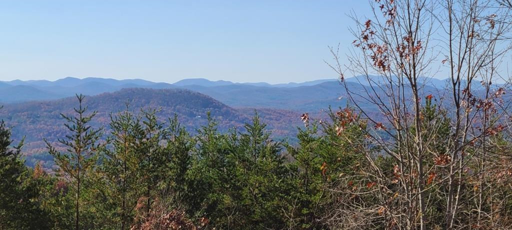 Lot 14 Patriot Ridge Murphy, NC 28906 - Photo 18 of 25