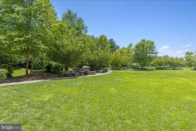 a view of outdoor space yard and patio