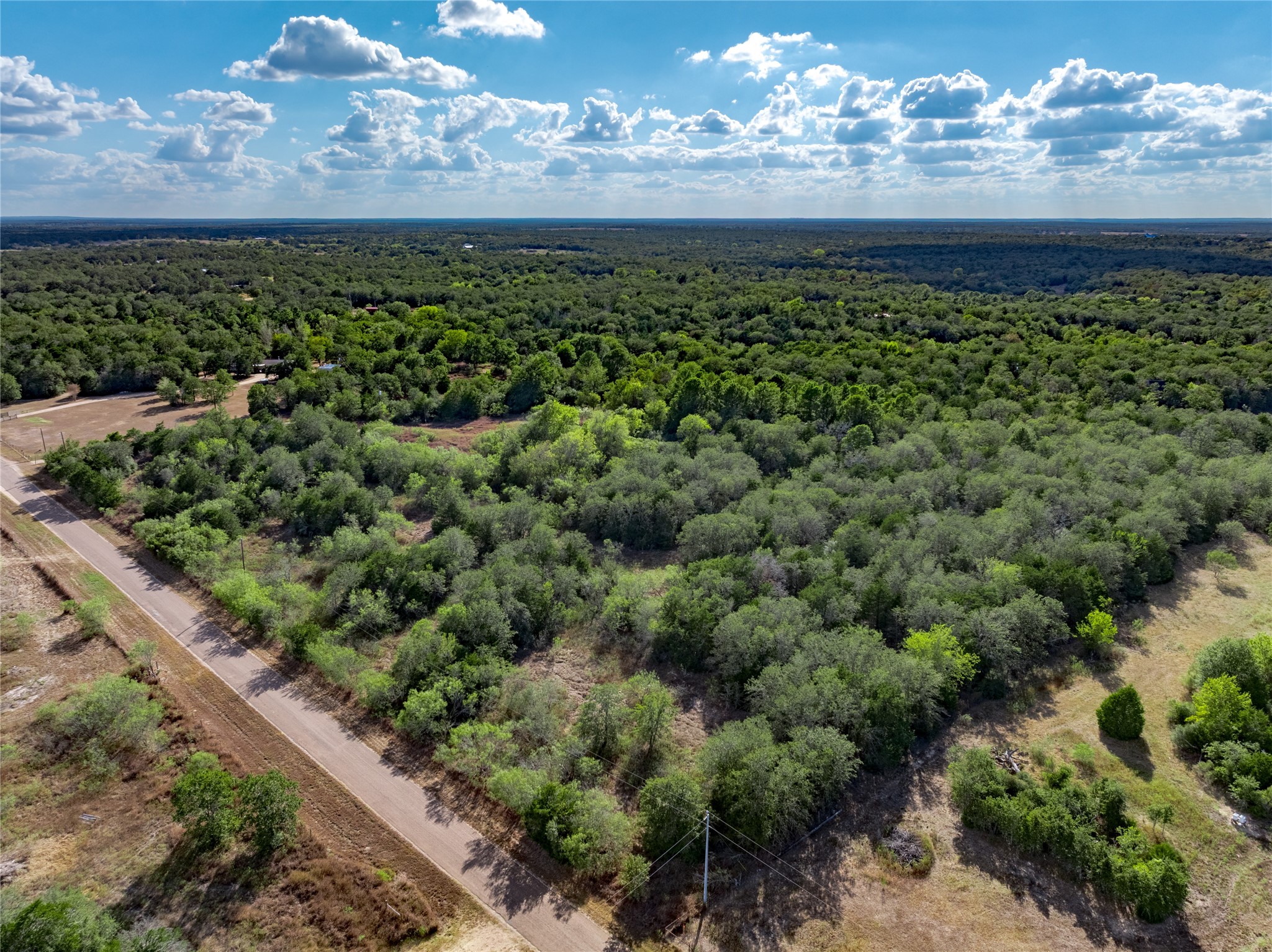 Tbd Makinson Road West Point, TX 78963 - Photo 4 of 7 a view of a fountain in middle of the garden