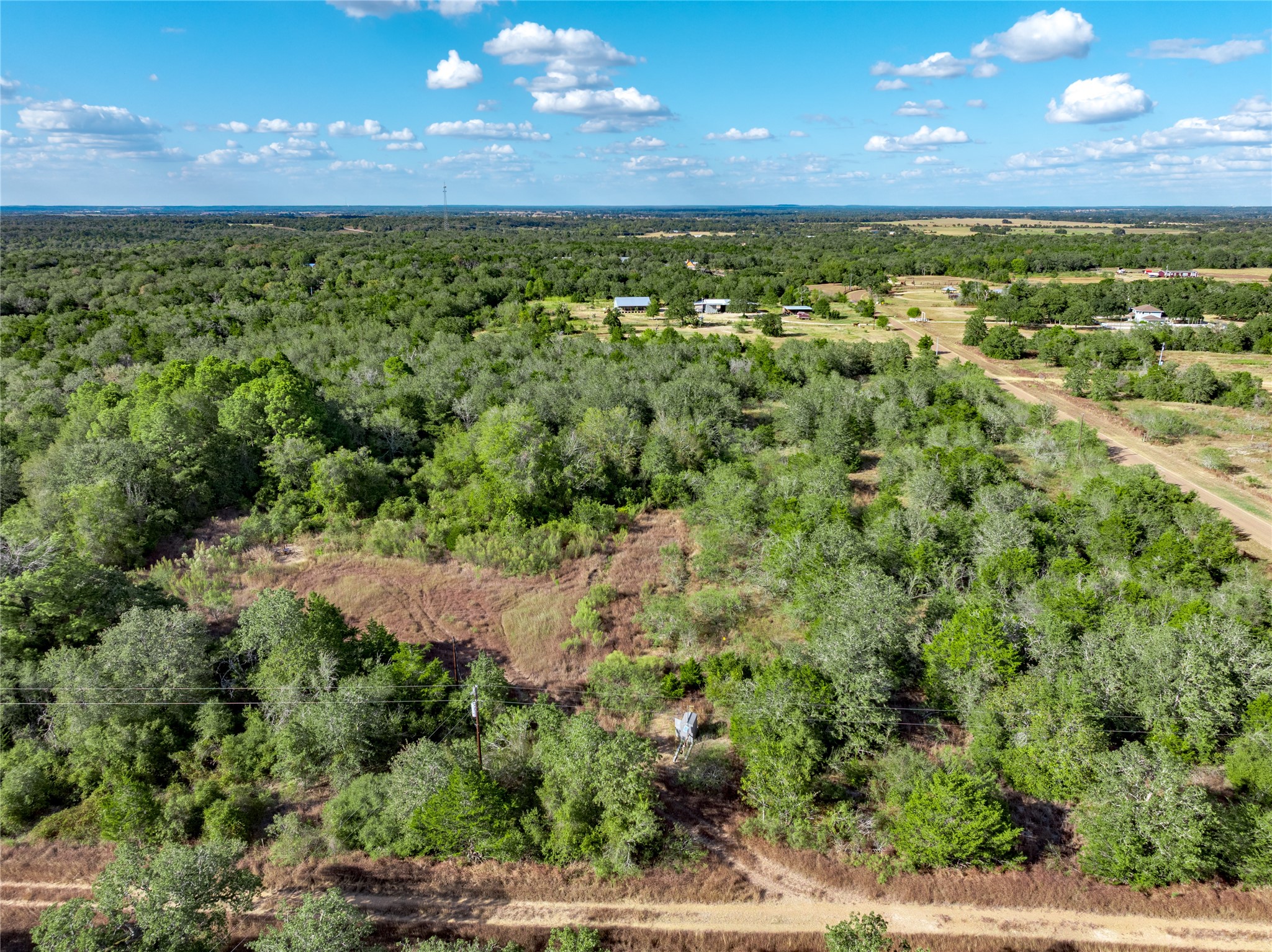 Tbd Makinson Road West Point, TX 78963 - Photo 6 of 7 a view of a yard