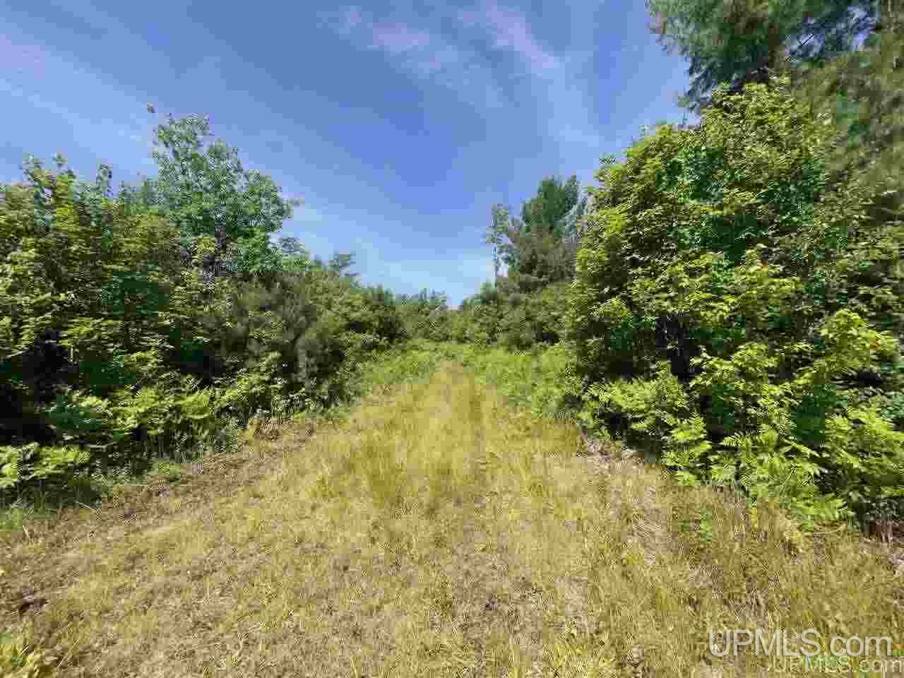 Tbd Off Cooks Lake Road, Unit 1 Wetmore, MI 49895 - Photo 6 of 19