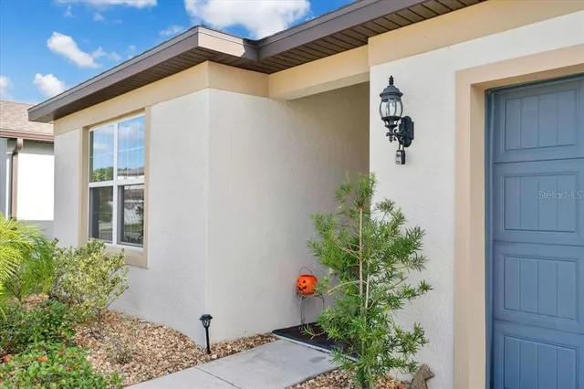 a potted plant sitting in front of a house