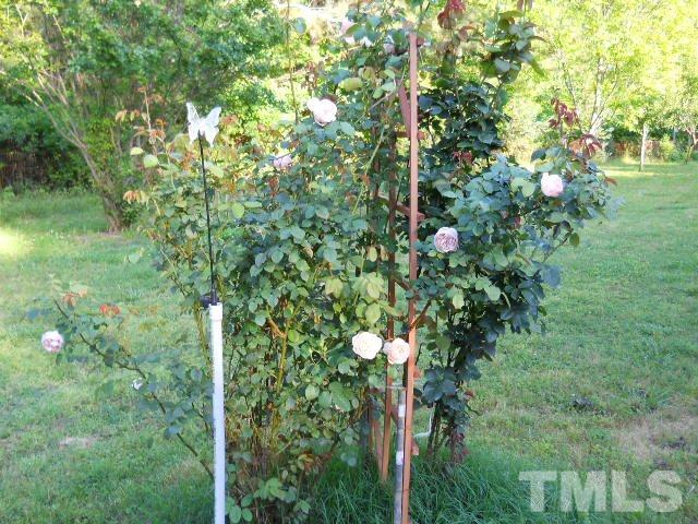 1640 Cedar Ridge Road Stem, NC 27581 - Photo 17 of 24 Gallery Image 17