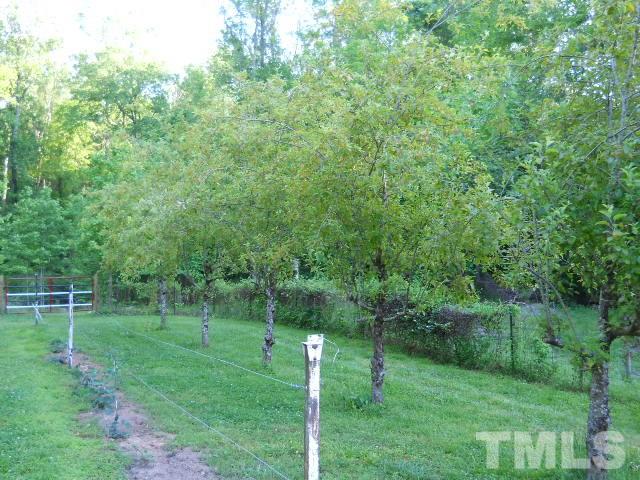 1640 Cedar Ridge Road Stem, NC 27581 - Photo 22 of 24 Gallery Image 22