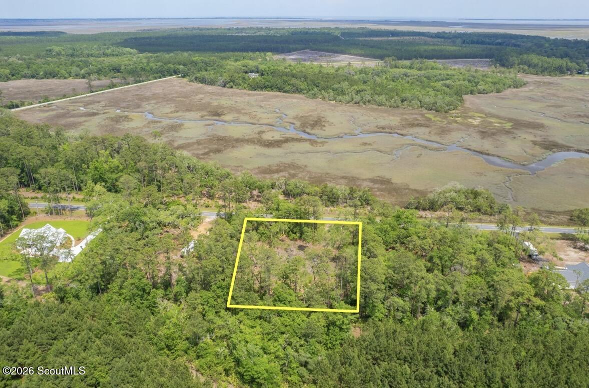 0 Piney Bluff Road Waverly, GA 31565 - Photo 3 of 26 IMG_9118