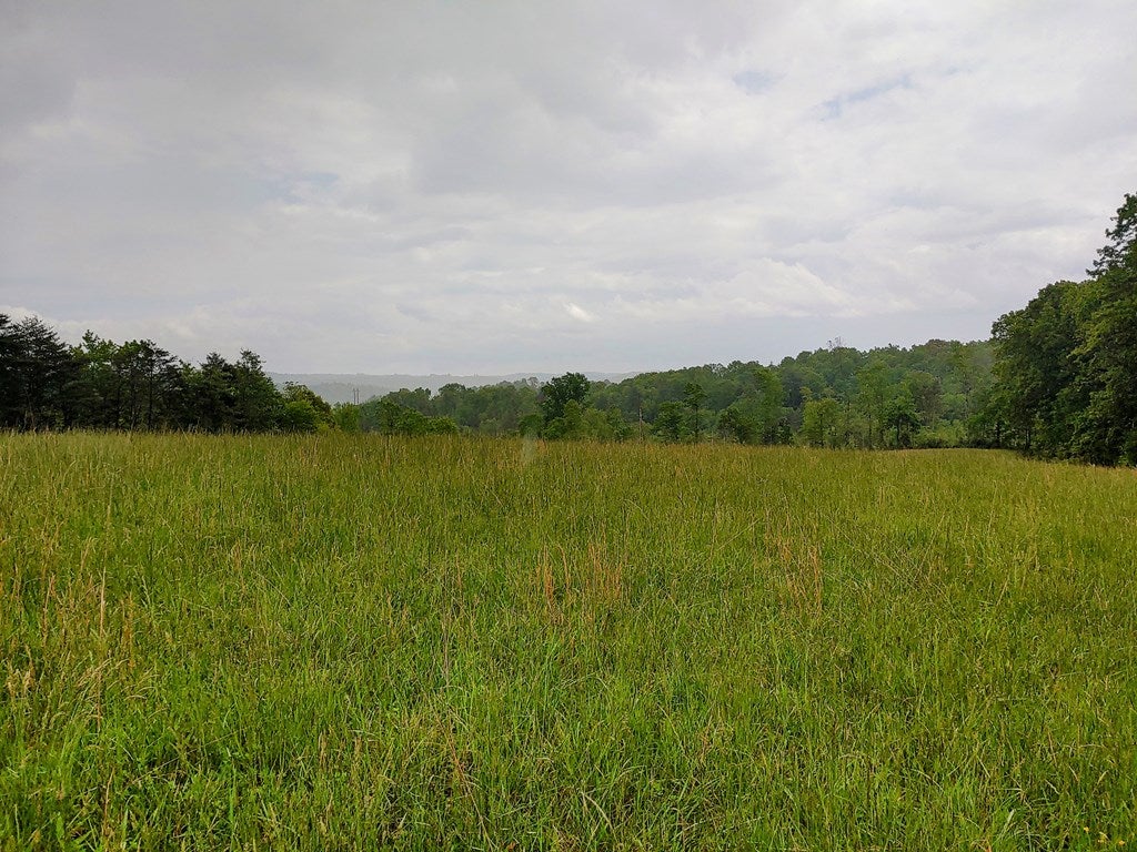 Tbd Ridge Road, Unit TRACT 3 Austinville, VA 24312 - Photo 4 of 19 Gallery Image 4