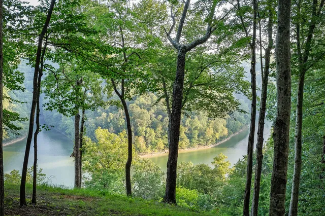 $949,000 | 148 January Place, Smithville, TN 37166