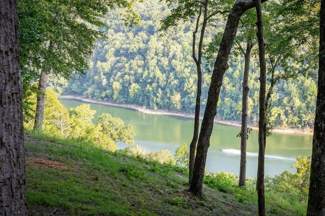 $949,000 | 148 January Place, Smithville, TN 37166