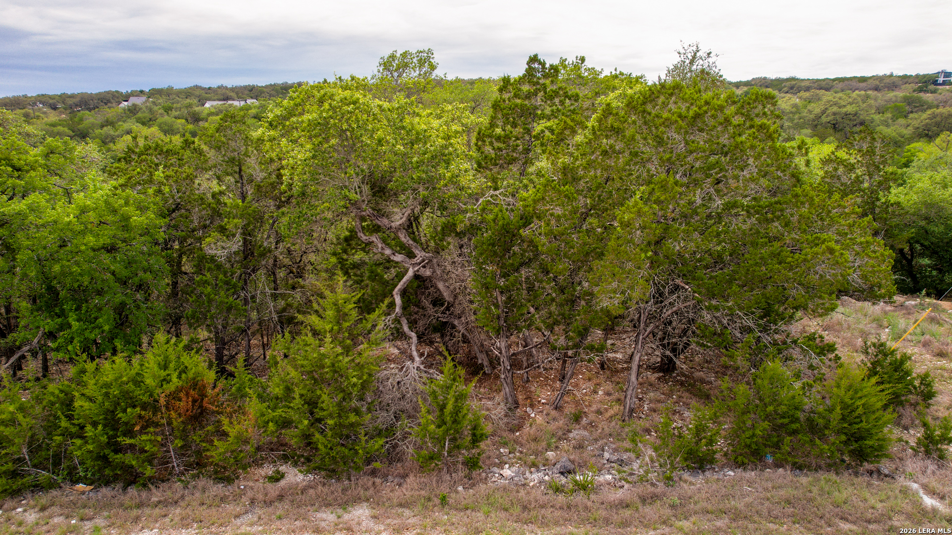 183 Palm Spring Branch, TX 78070 - Photo 7 of 9