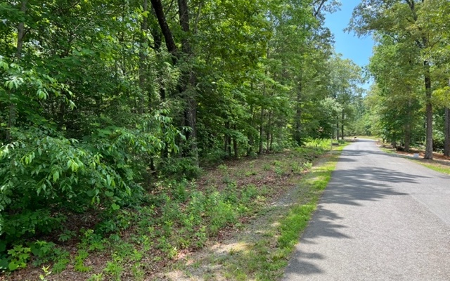 17 Arbor Way Blue Ridge, GA 30513 - Photo 2 of 4 Additional View