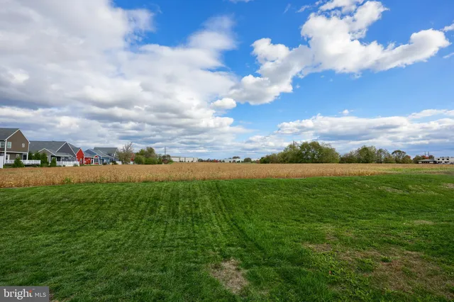 a view of backyard with a garden and entertaining space