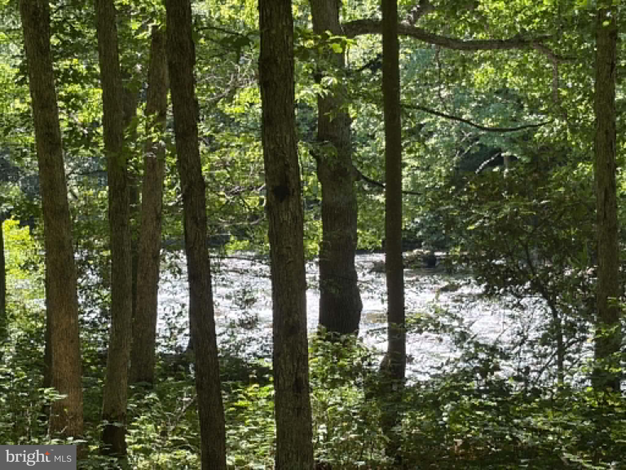 1515 Barnum Road Keyser, WV 26726 - Photo 61 of 64 Nearby Barnum Whitewater Area.