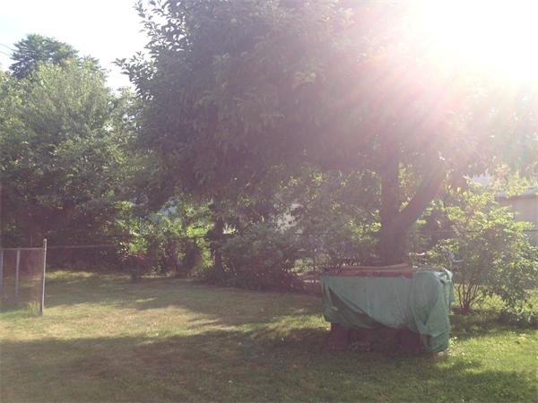 78 Princeton Street Springfield, MA 01109 - Photo 3 of 4 Gallery Image 3
