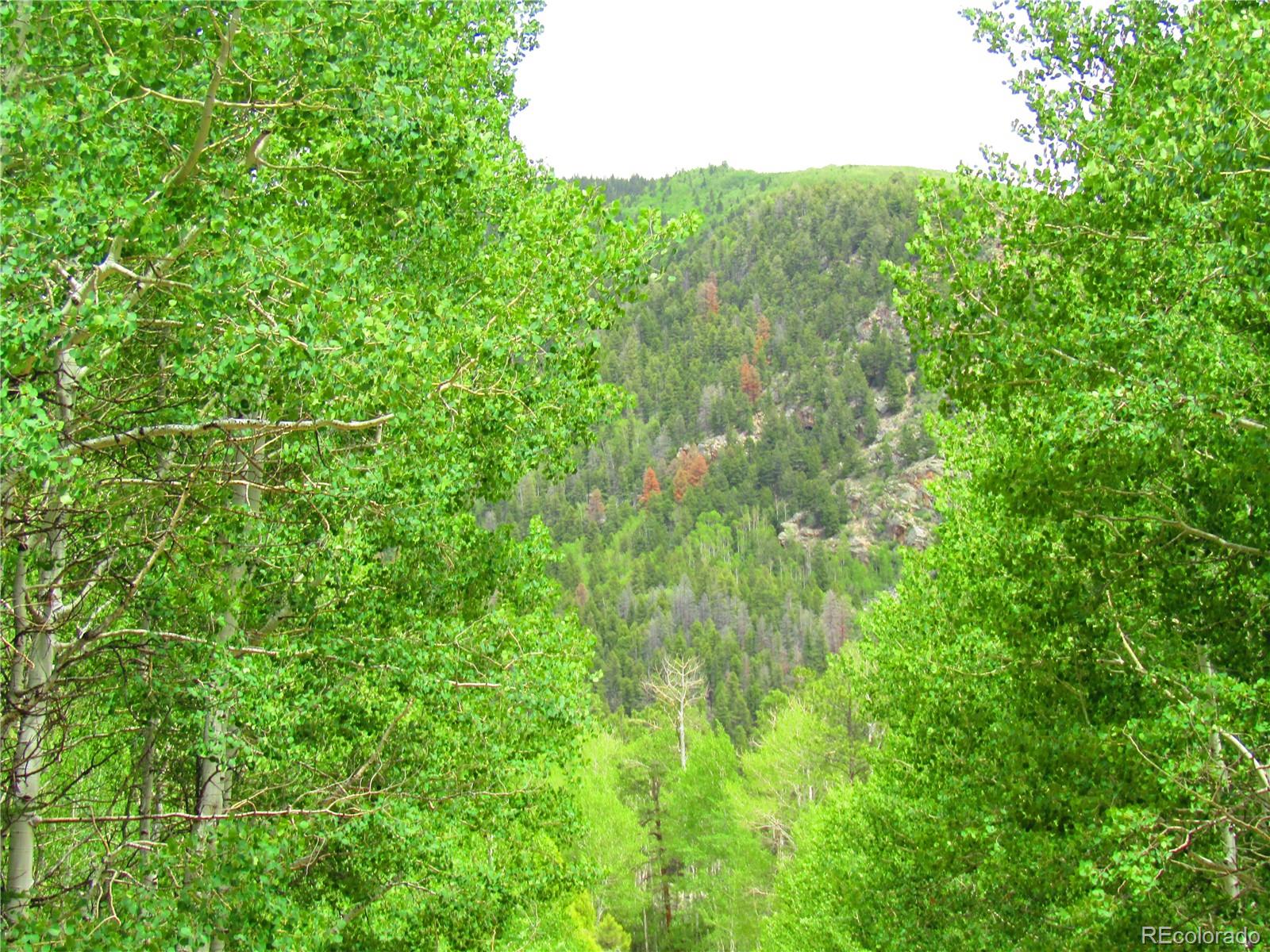 Lot 6295 Malcolm Road San Luis, CO 81152 - Photo 14 of 31