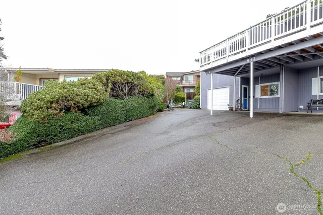 a view of a yard with potted plants