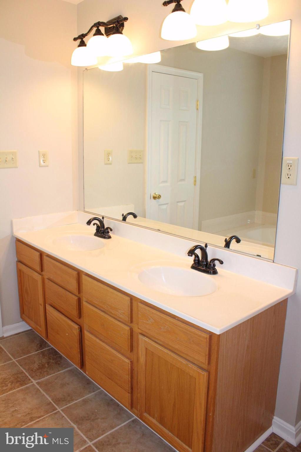 310 Canyon Road Winchester, VA 22602 - Photo 20 of 28 Bath (Master)