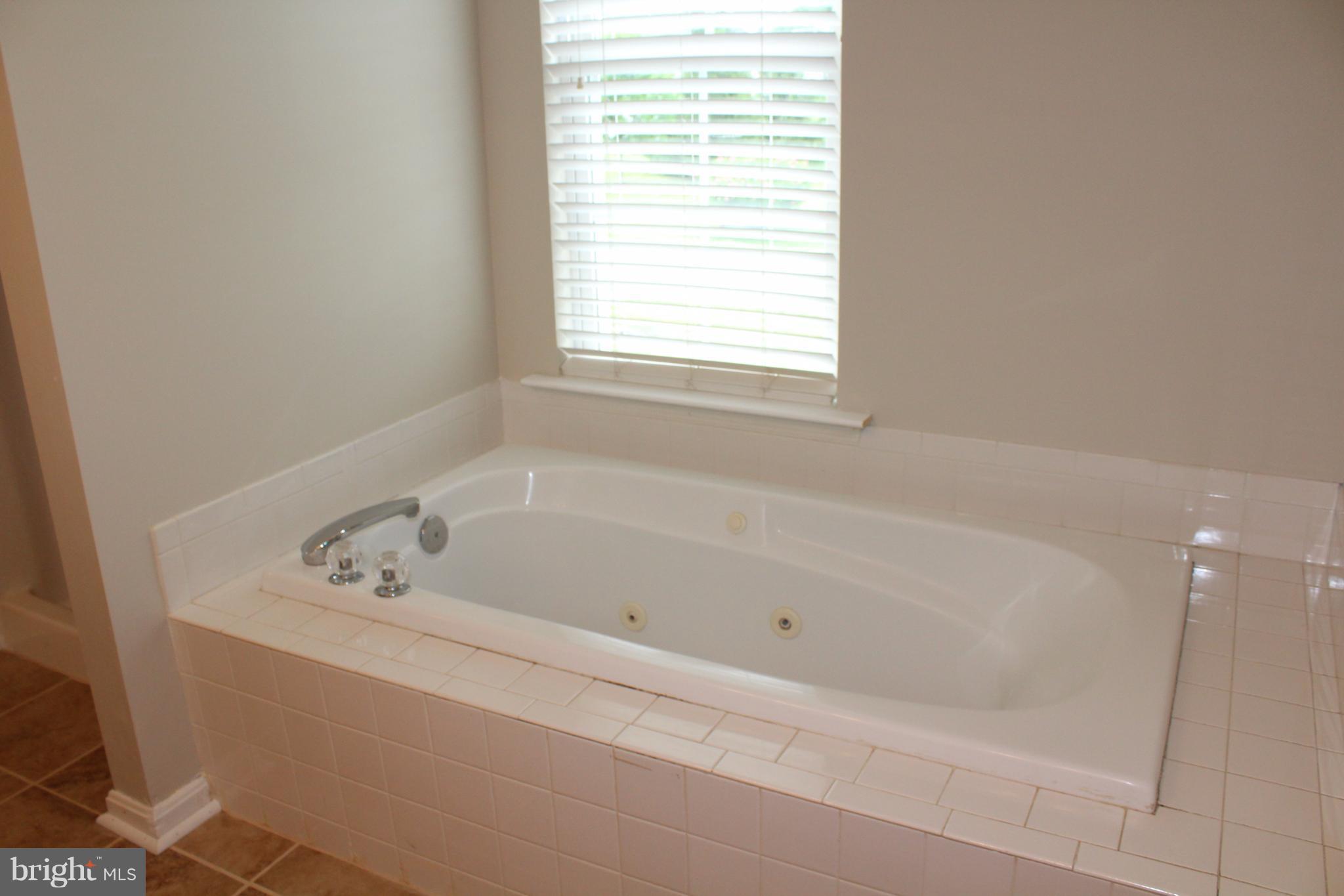 310 Canyon Road Winchester, VA 22602 - Photo 21 of 28 Bath (Master)