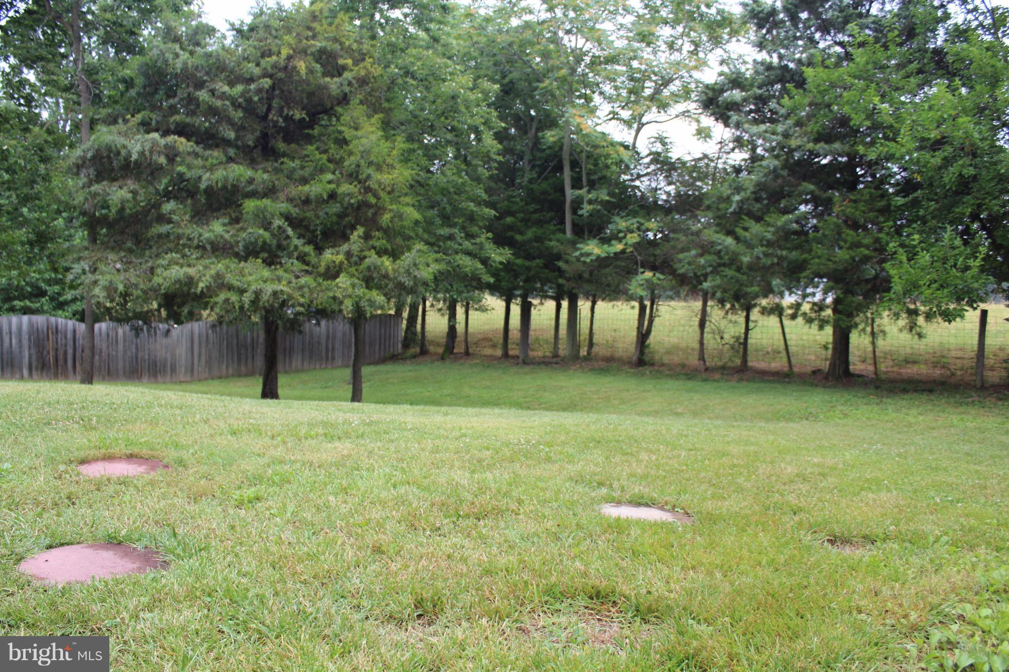 310 Canyon Road Winchester, VA 22602 - Photo 22 of 28 Exterior (Rear)