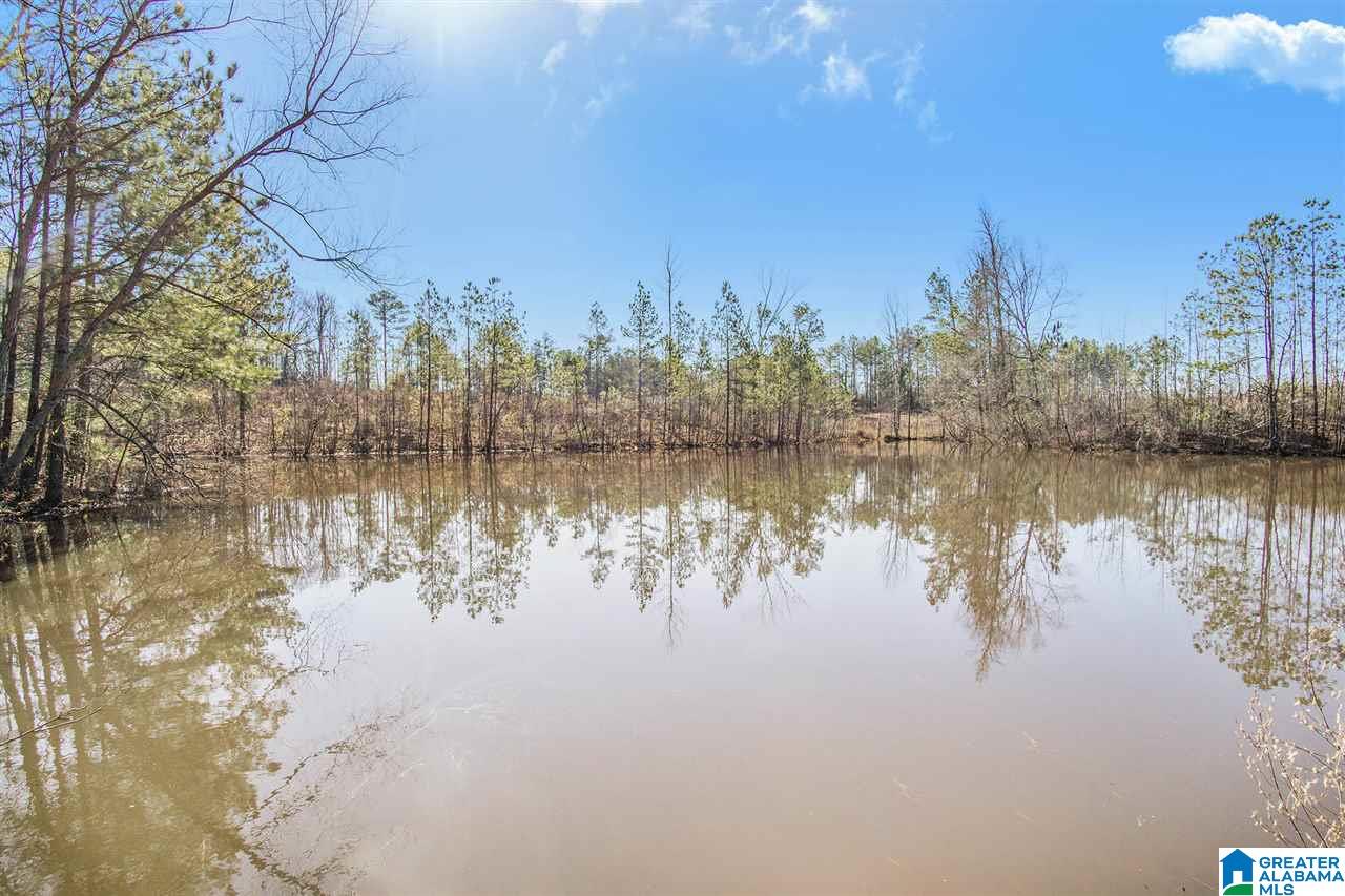 568 Yorkshire Road Columbiana, AL 35051 - Photo 7 of 7