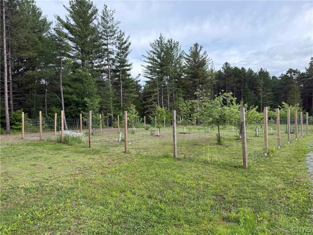 7510 Chases Lake Road Watson, NY 13343 - Photo 42 of 45