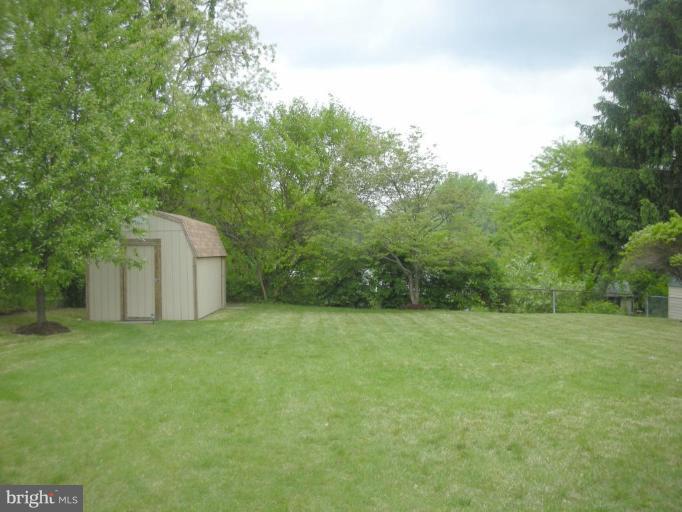 Back yard