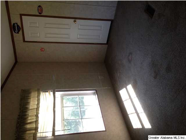 1430 Pine Hole Road Lineville, AL 36266 - Photo 13 of 16