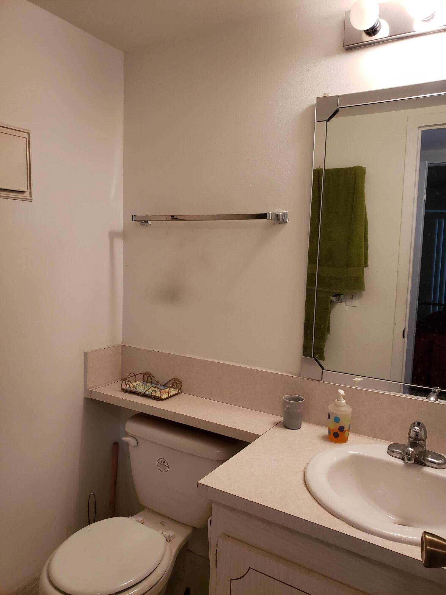 39 Suffolk A, Unit 39A Boca Raton, FL 33434 - Photo 10 of 28 guest bathroom