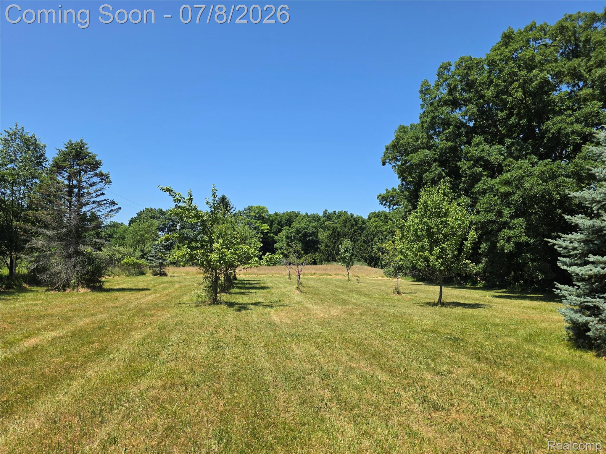 3581 North Burkhart Road Howell, MI 48855 - Photo 7 of 15 Orchard